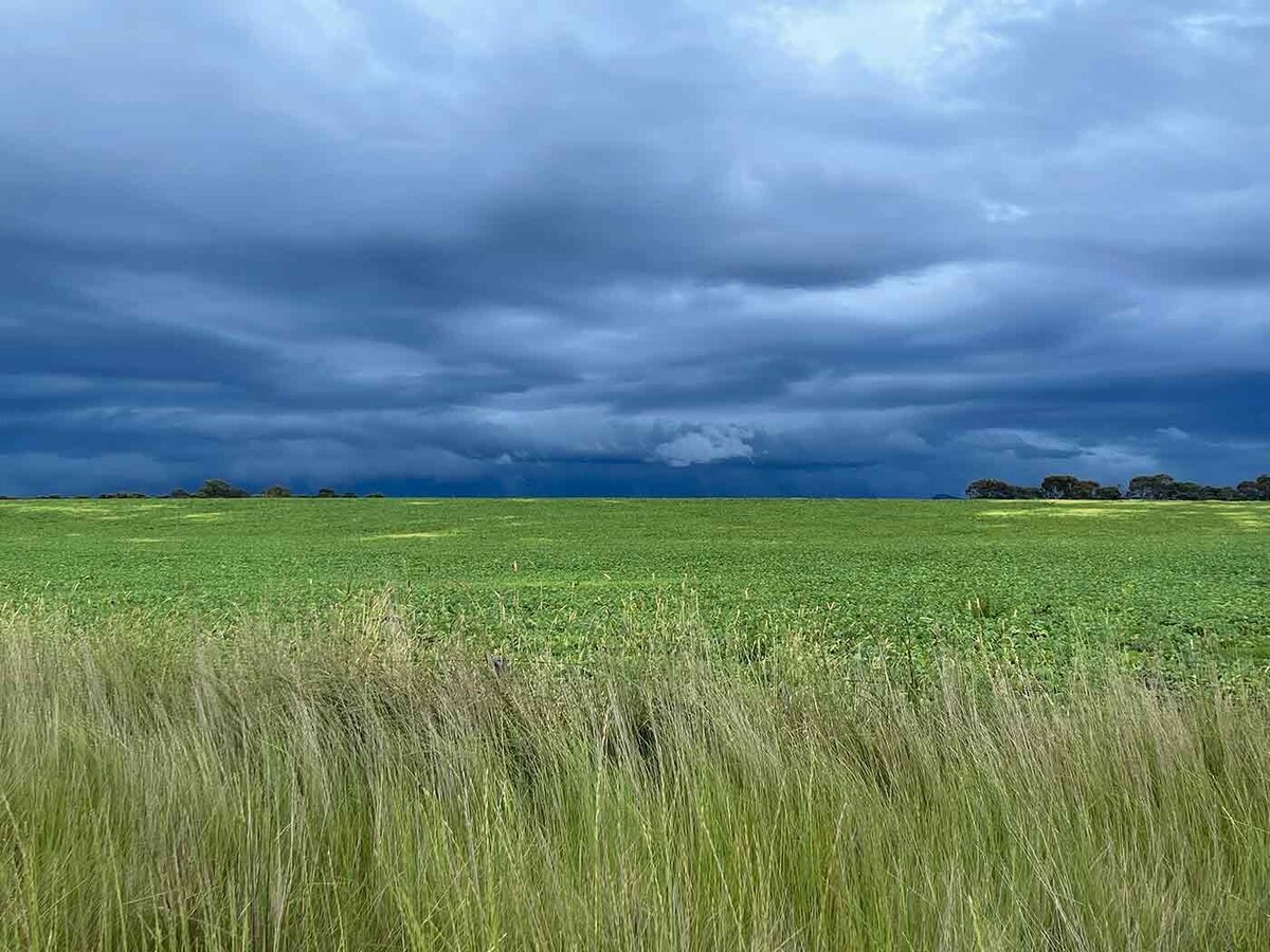 Farm Environmental Stewardship