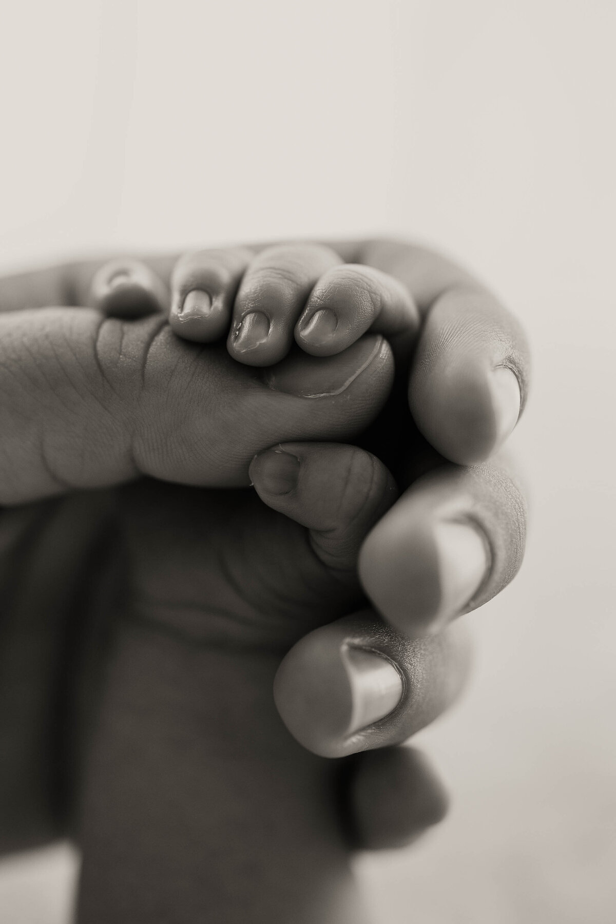 Louisville ky newborn photography session 