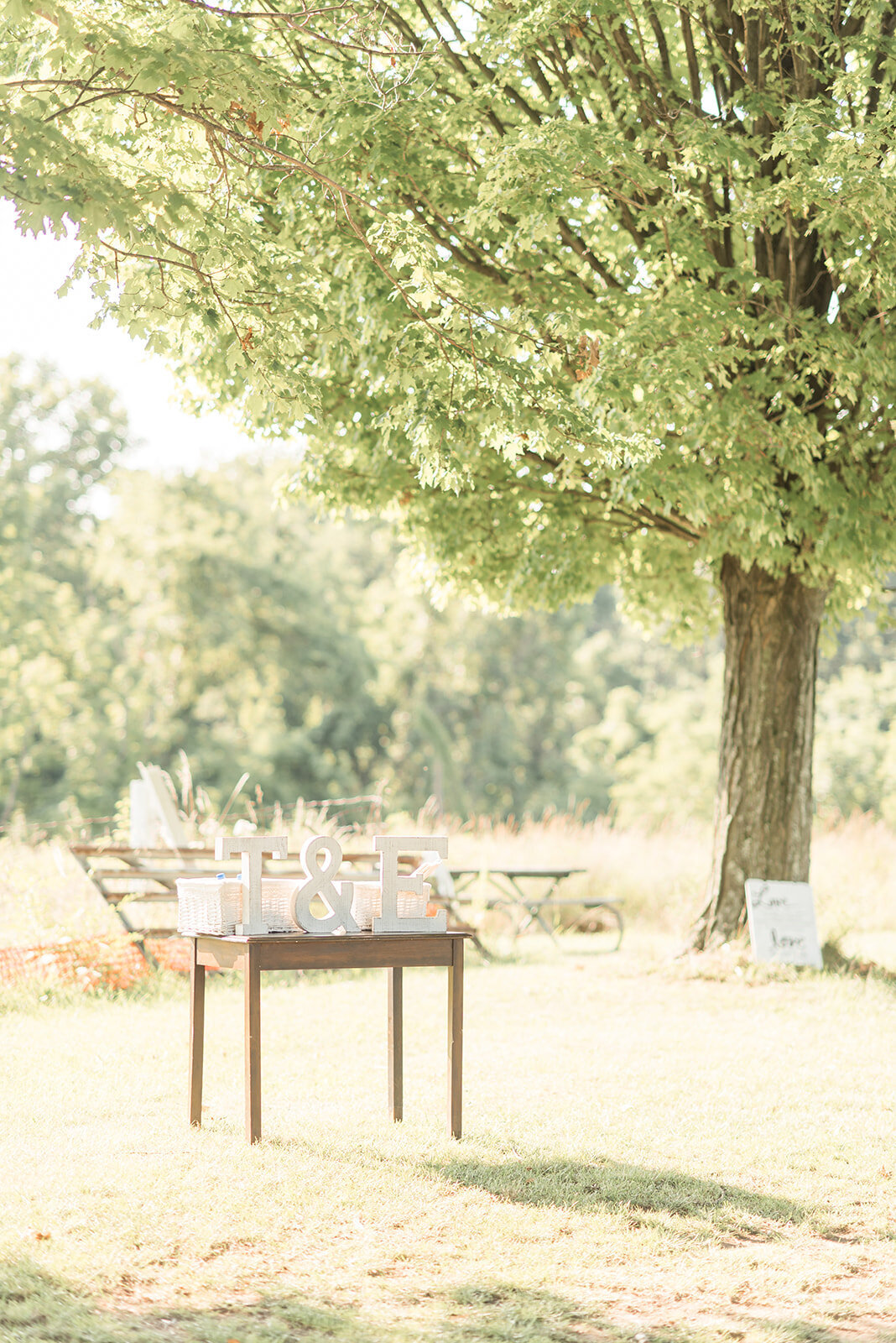 round-hill-park-pittsburgh-wedding-carmen-may-photography-1382