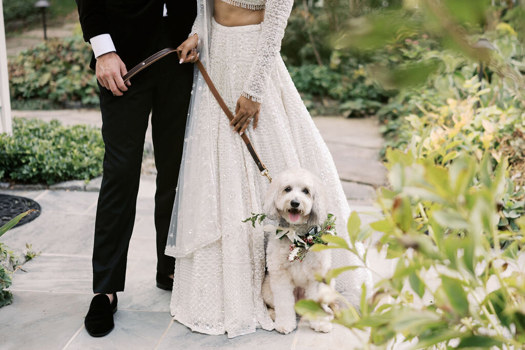 Wedding couple’s dog wearing floral wreath sitting between the bride and groom during portraits at Old Edwards Inn in Highlands, NC.
