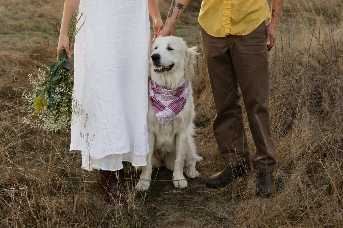 Kat-and-Tommy-Engagement-130