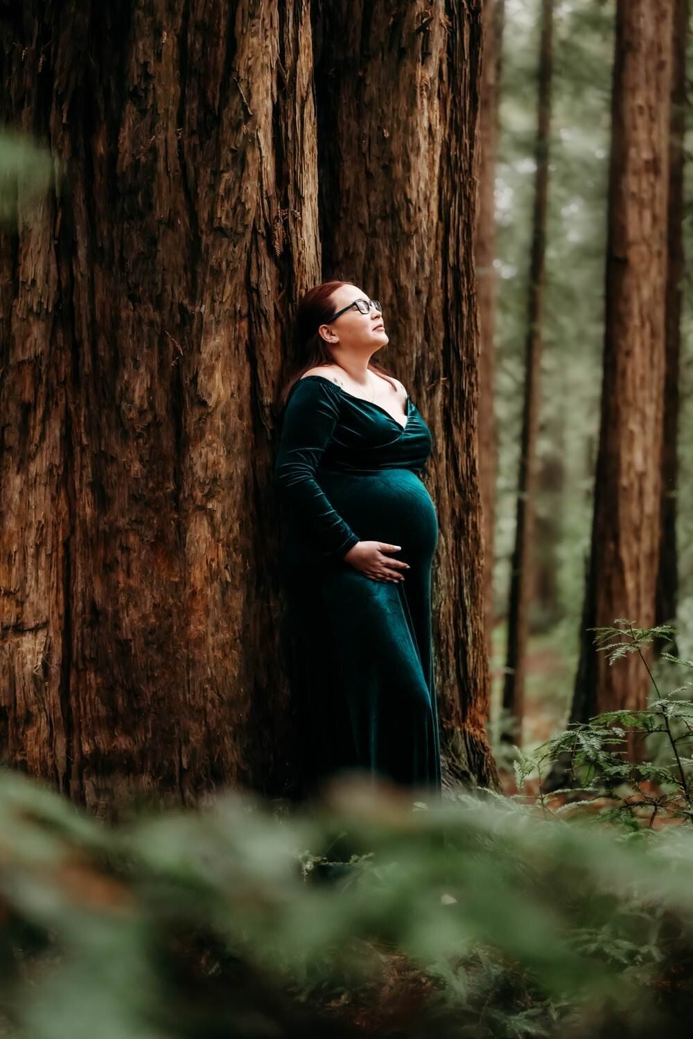 redwood forest near lafayette is the setting for this maternity session. mama wears a green velvet maternity dress
