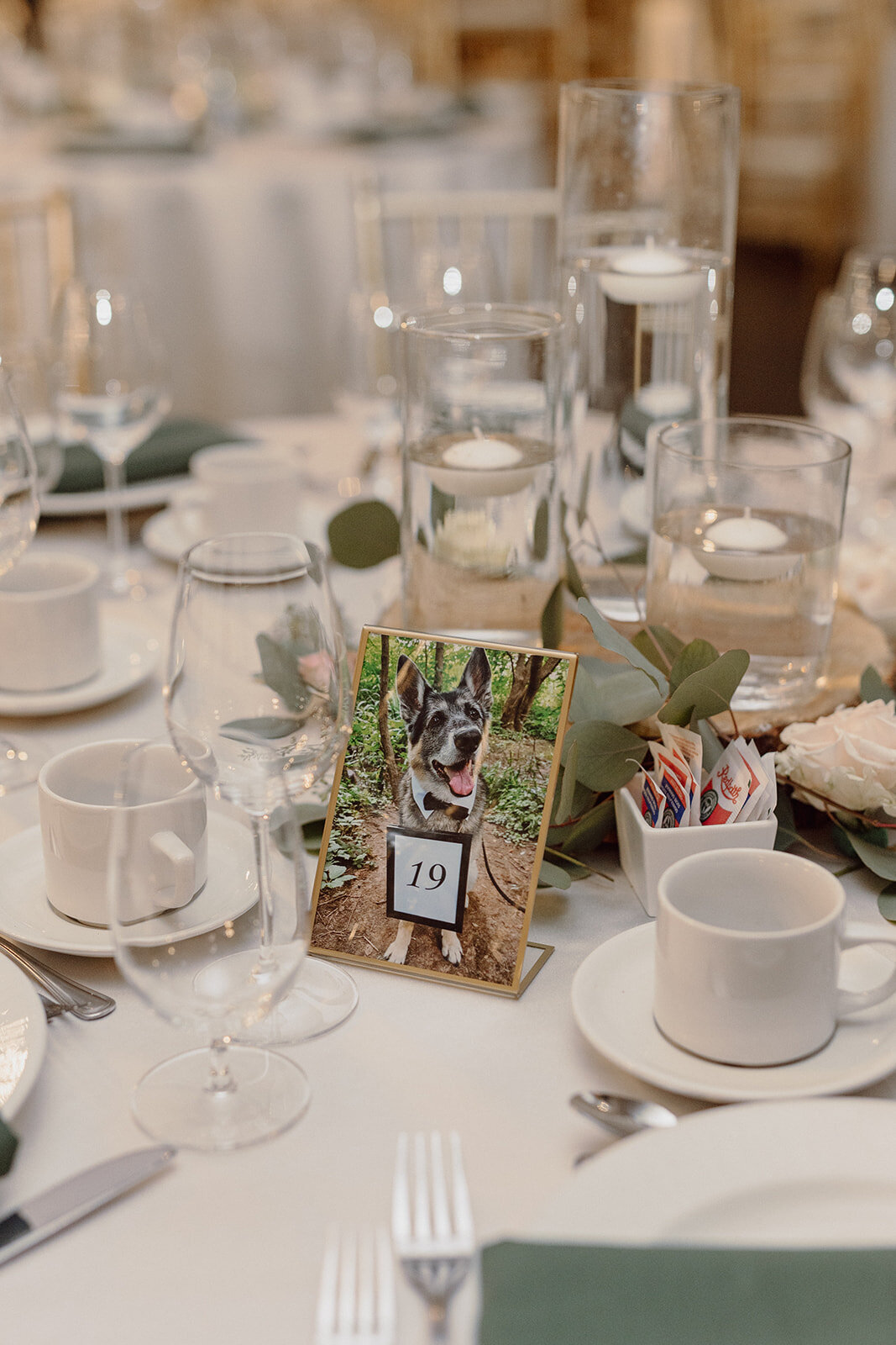 Emily and Dan - St. Catharines Wedding - Photos by Split Rail Studios0275