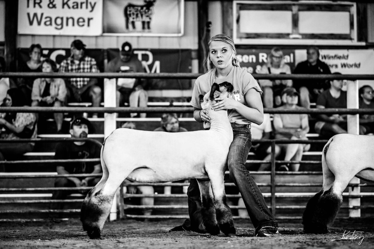 girl bracing lamb during show