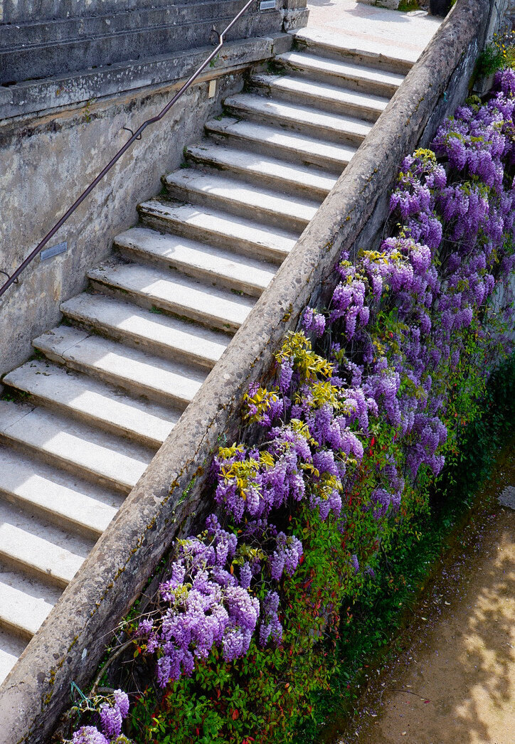 Tivoli Steps