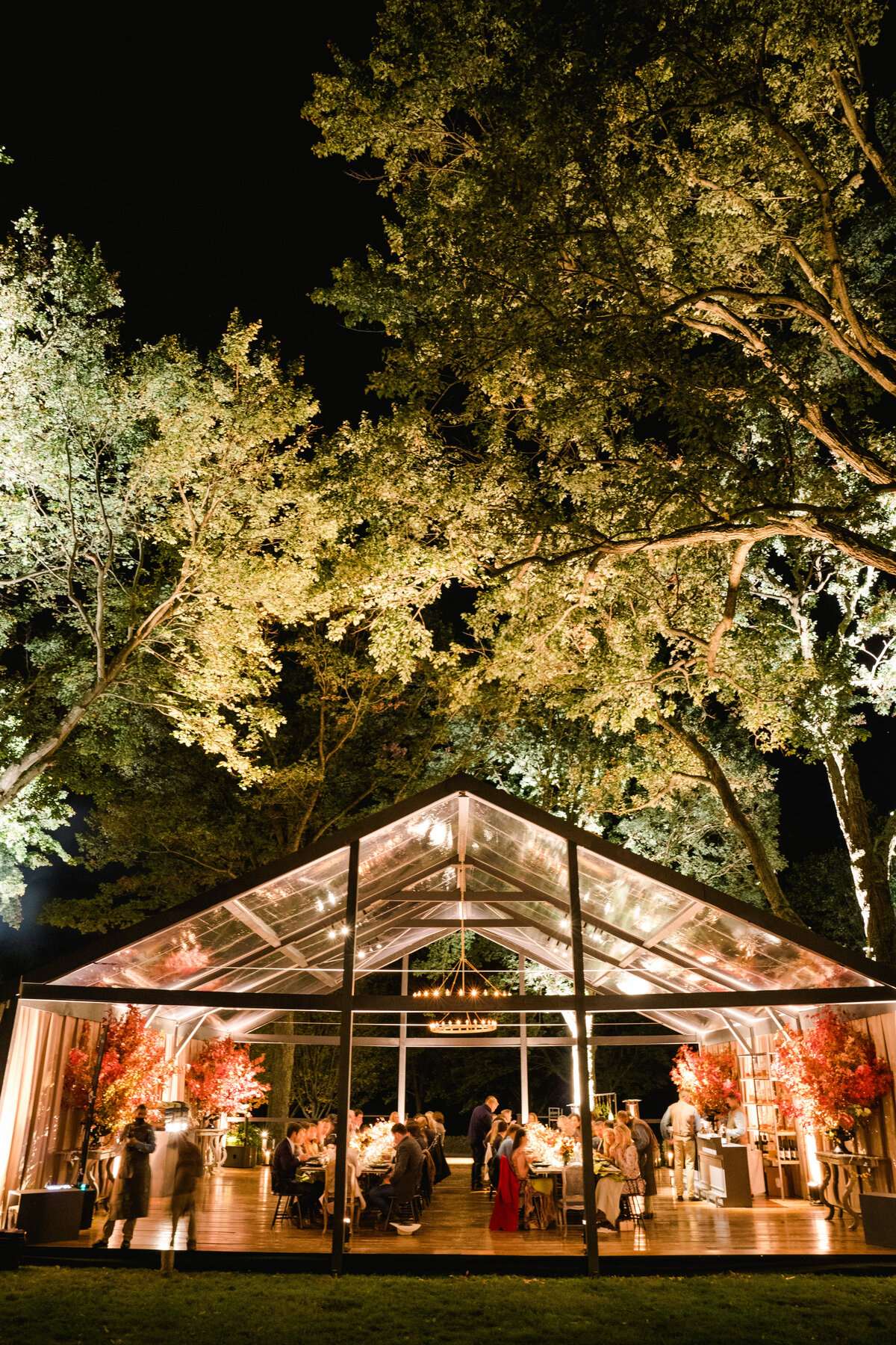 Special-Event-Planner-Virginia-Tented-Birthday-Party0426