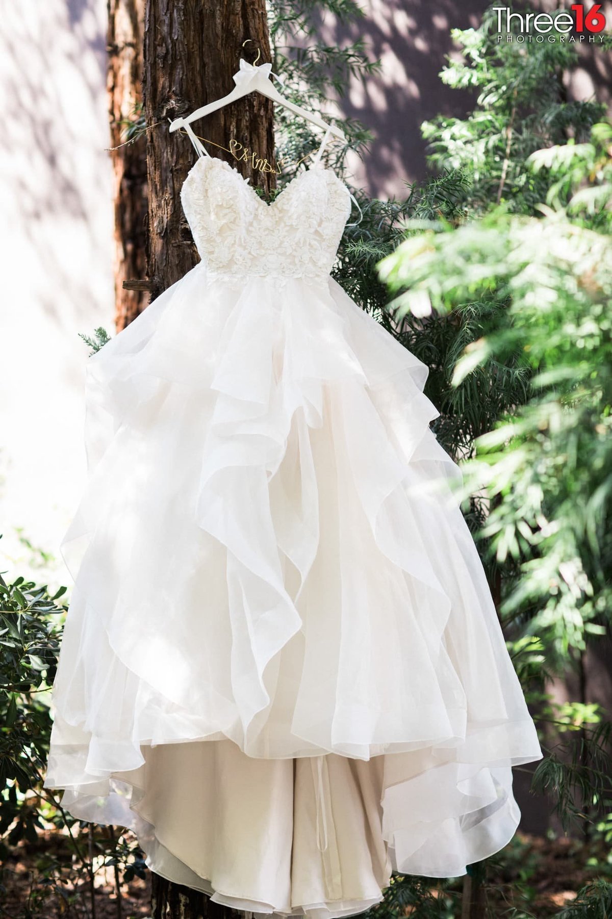 Beautiful white gown hangs from tree prior to the wedding
