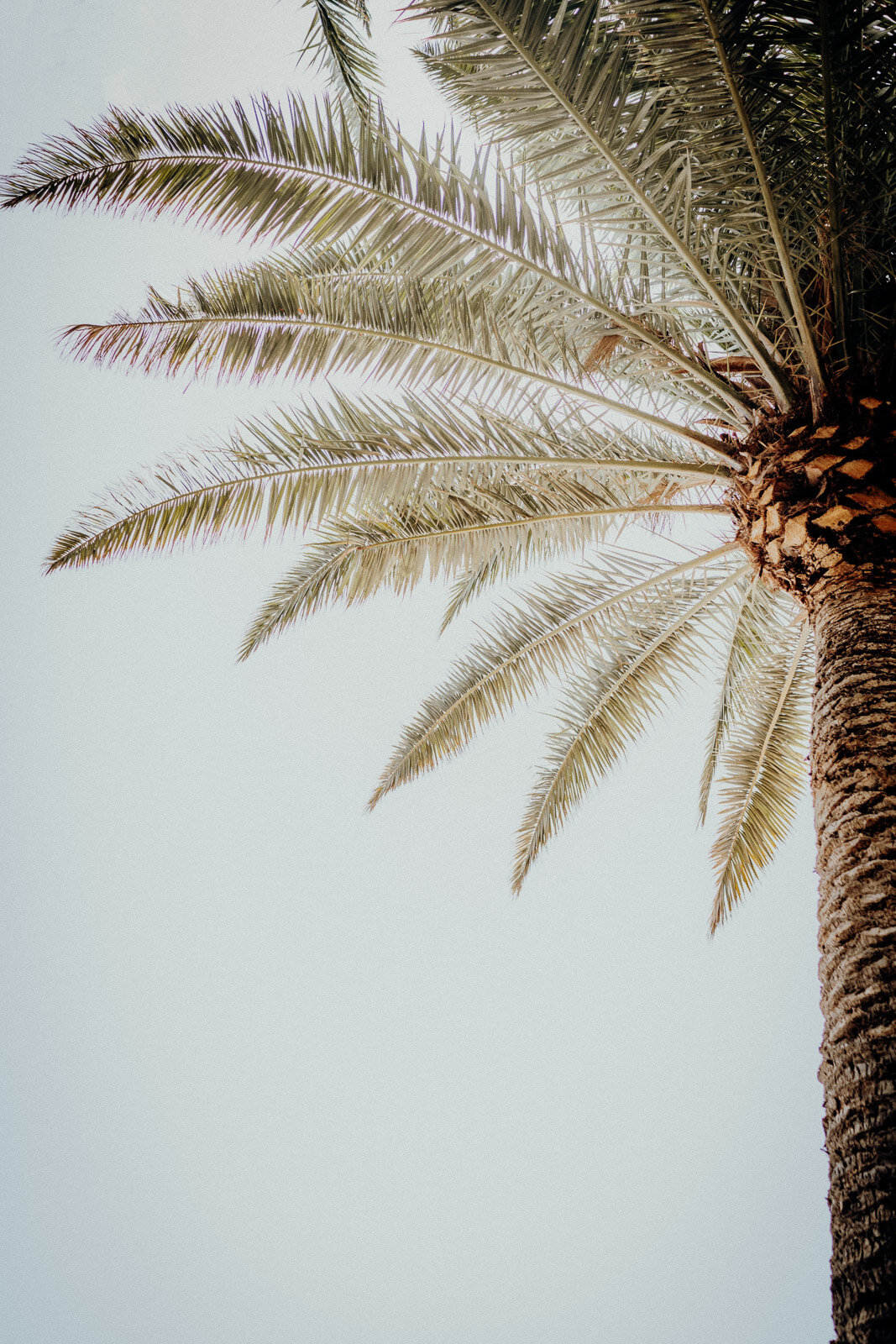 Urlaub-am-Stand-mit-Meerblick-Ferienwohnung-mieten-Fuerteventura-1