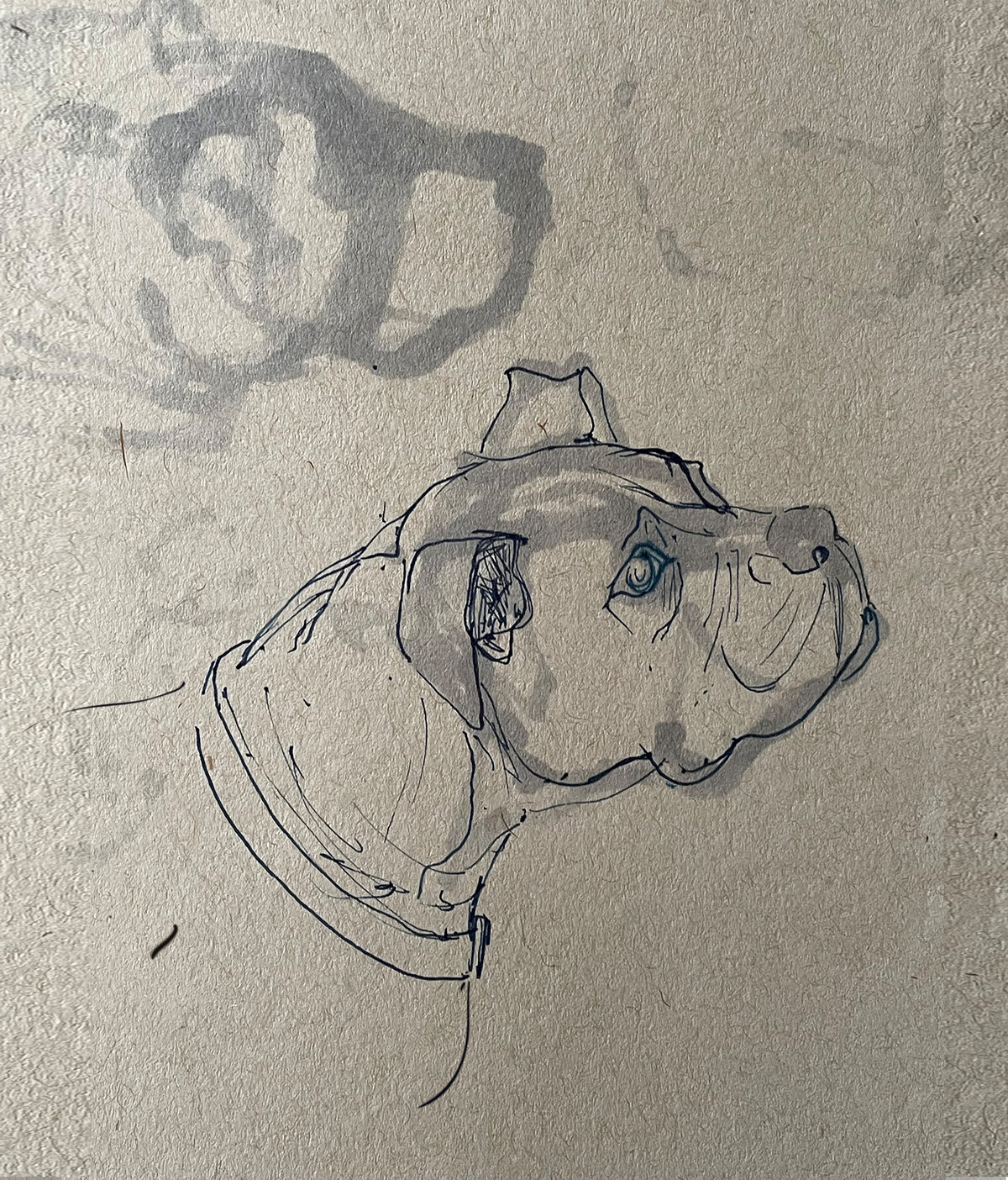 dog 2