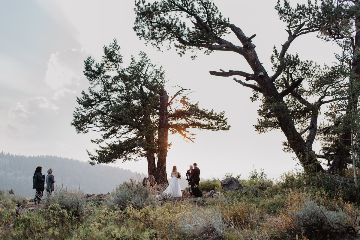 Jackson Hole Photographers capture couple at wedding tree
