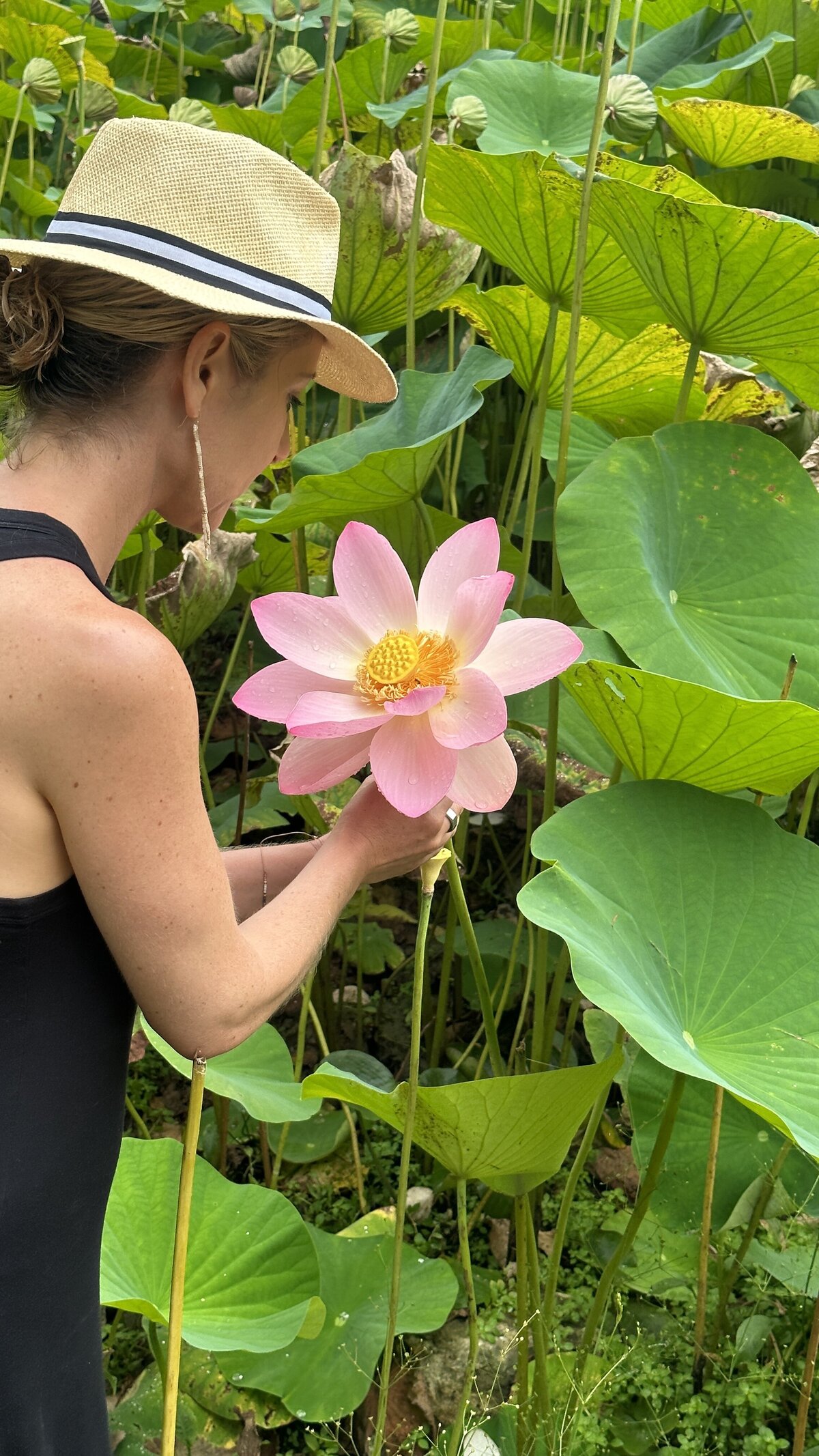 Dr. Diana Hill, ACT Psychologist Leadership Coach, in a white hat holding a pink lotus flower with lotus leaves