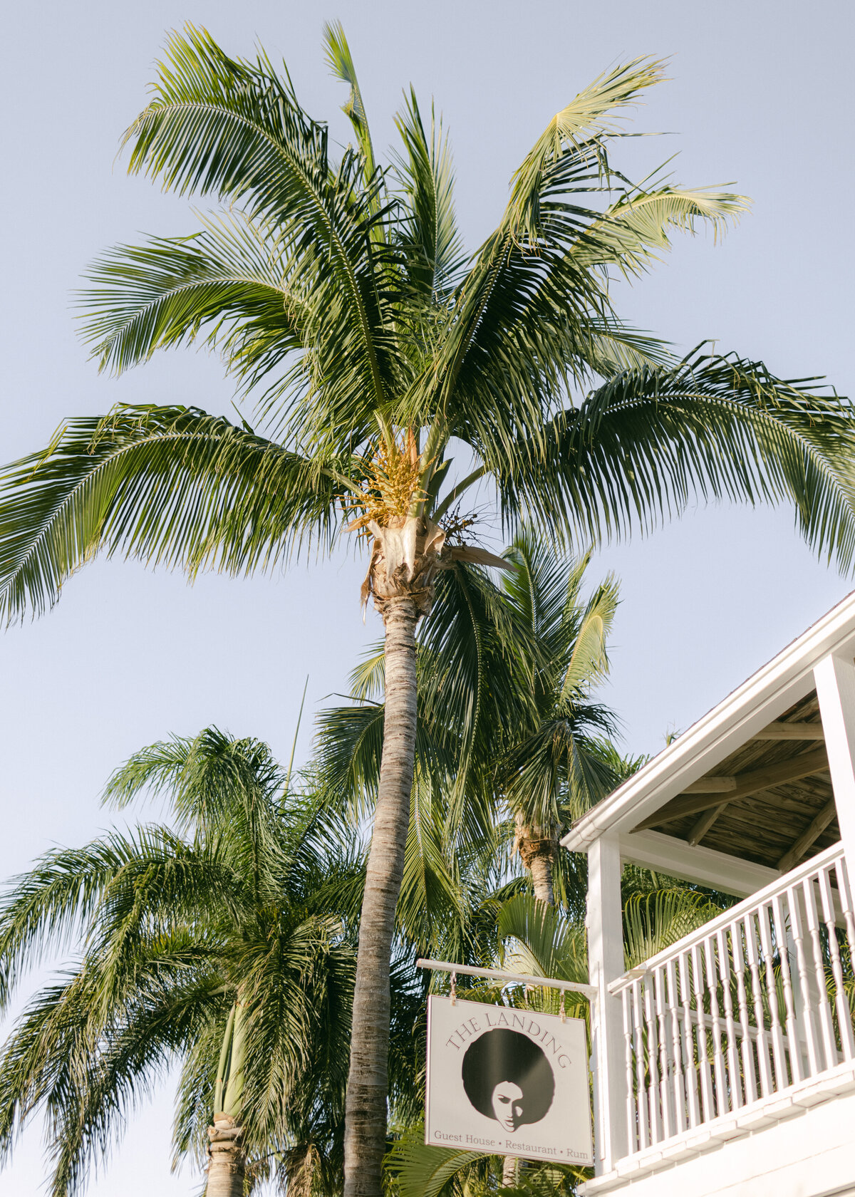 alessandra-shane-harbour-island-wedding-hollyclarkphotography-h-825