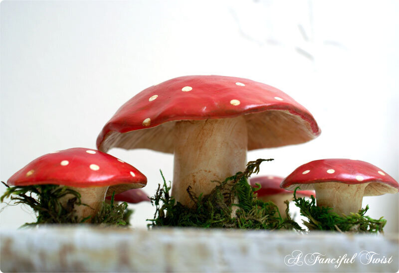 mushrooms-2