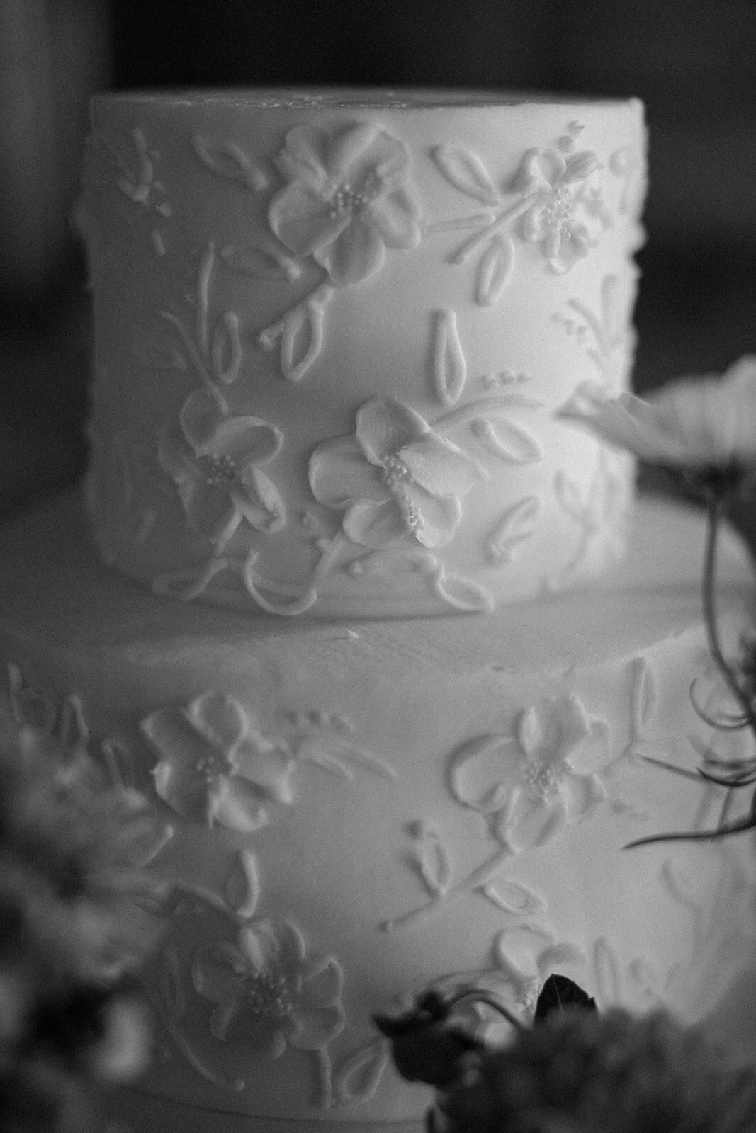 jackiesteele-91_websize