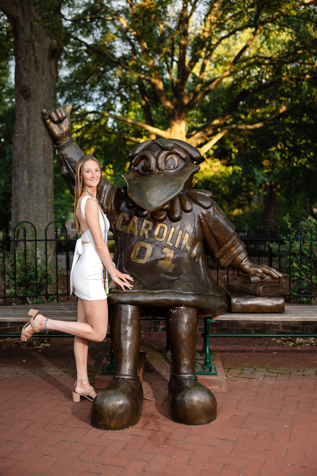 University of South Carolina senior graduation portraits-1605