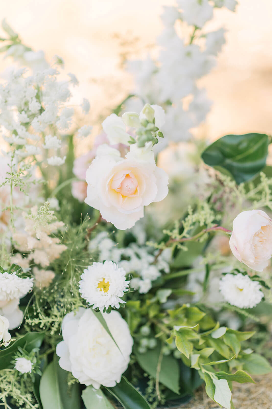 close up picture of flowers
