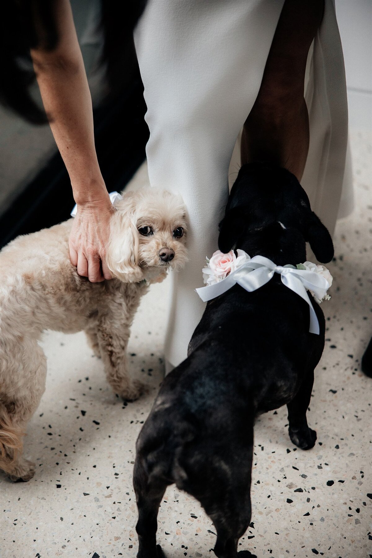 Maegan-Brown-Moments_220708_Nella-Derek_Wedding_Rupert_0128