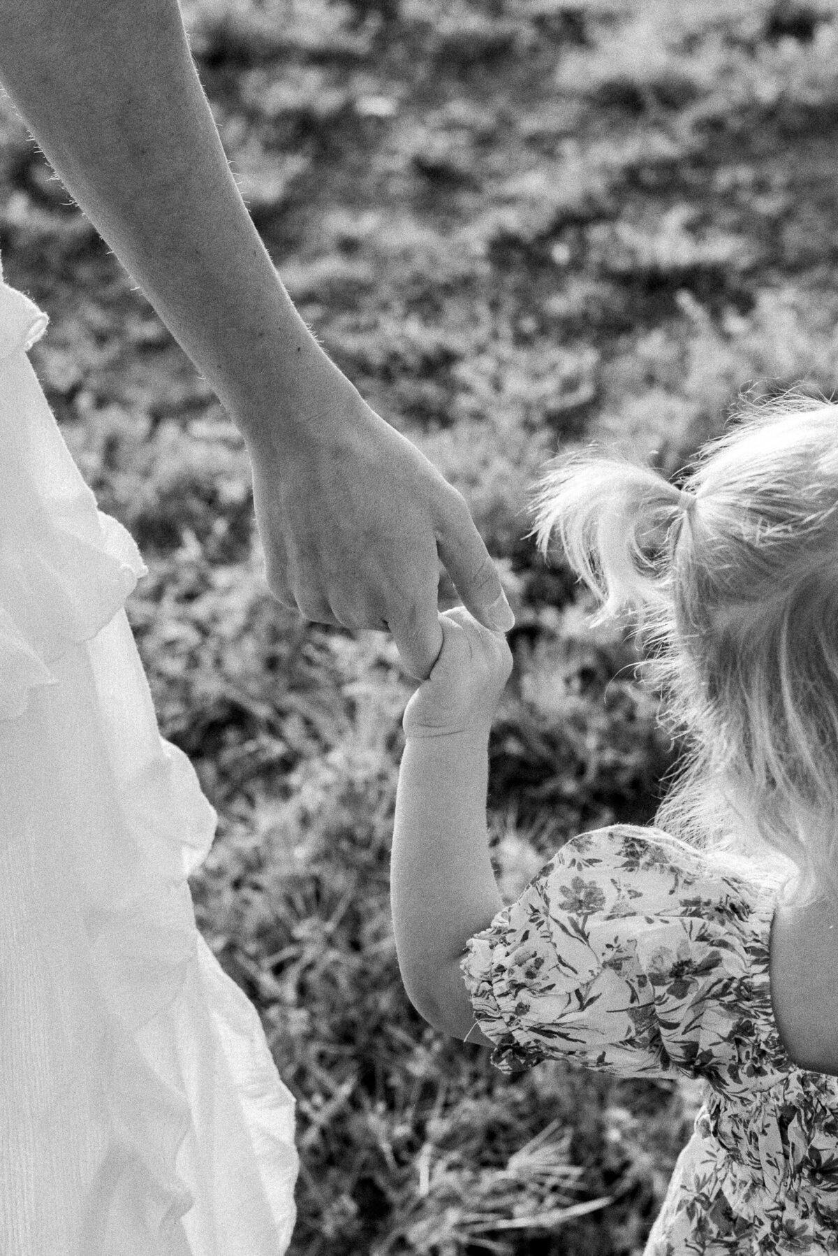 Alexis Rachel Photography 2024 LaFevre, Paige-49