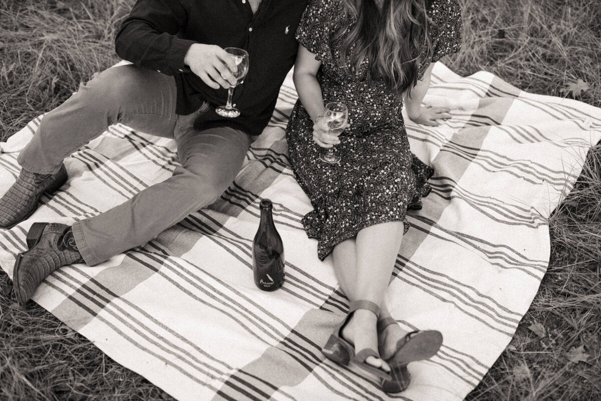 A couple is sitting on a picnic blanket in the grass enjoying a glass of champagne together.