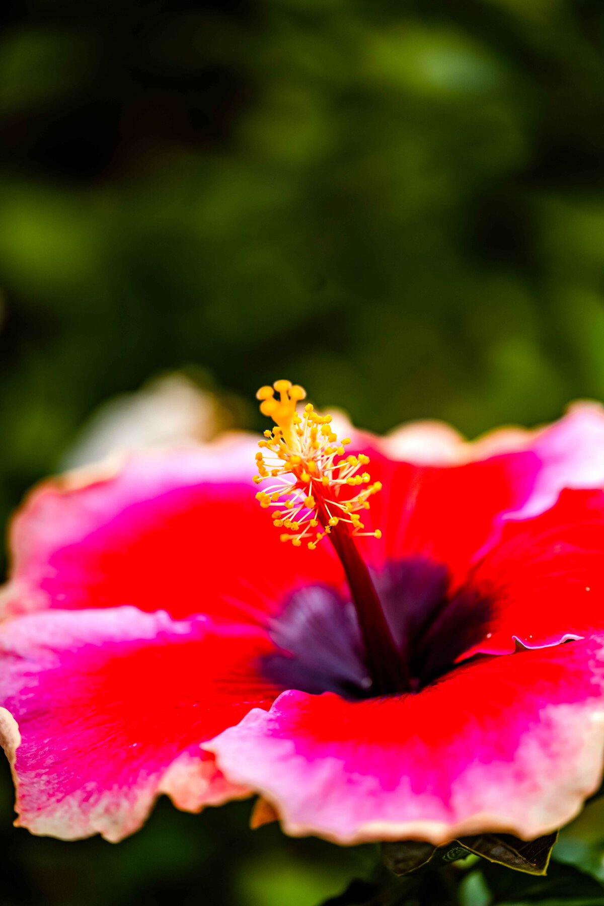 _DSC3889-Edit