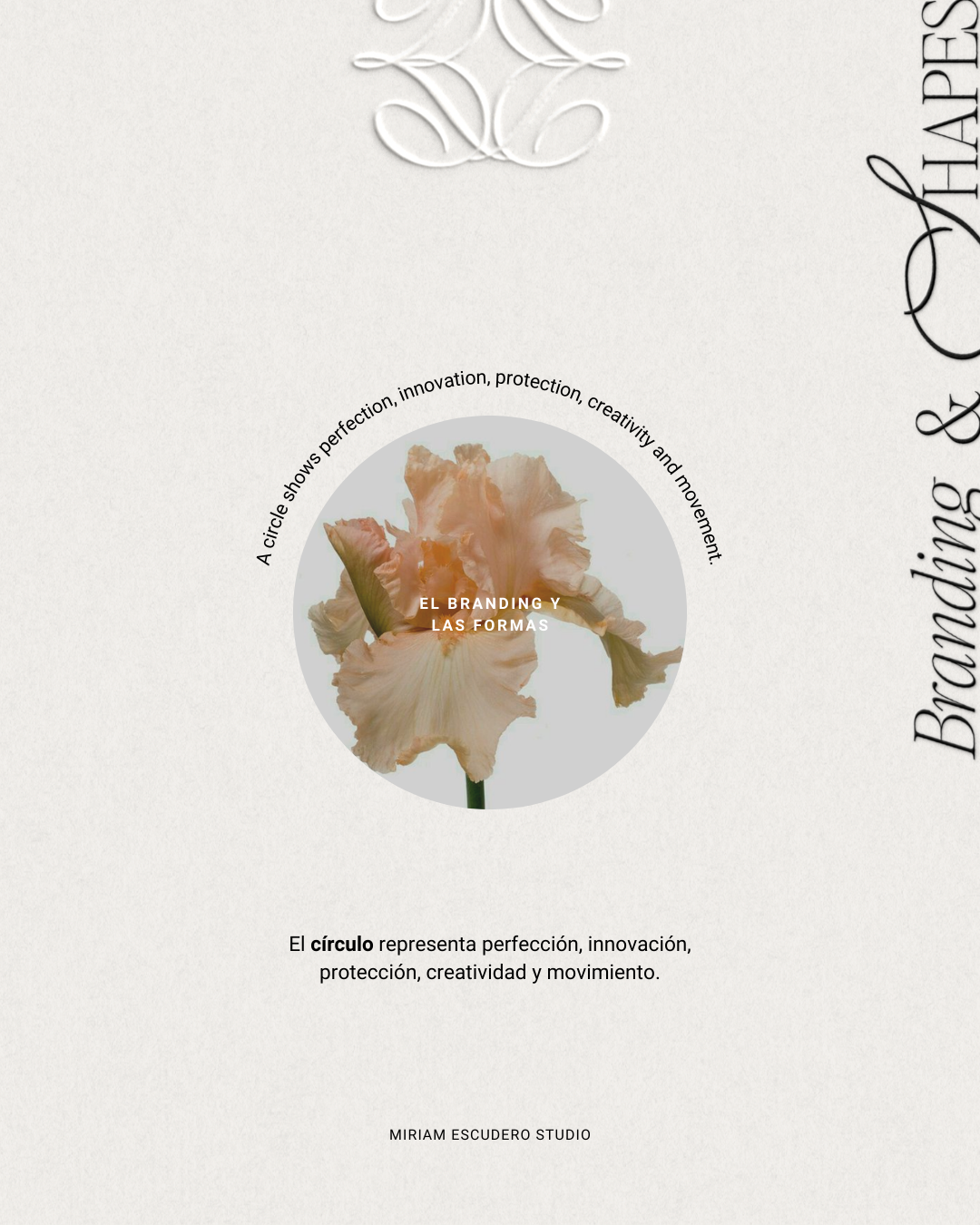 Tips diseño de identidad visual branding - diseñadora marcas Miriam Escudero Studio