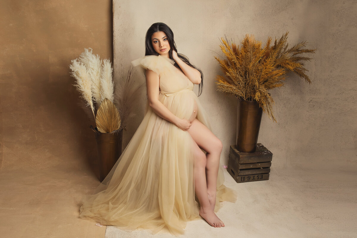 NJ Fine art maternity photographers