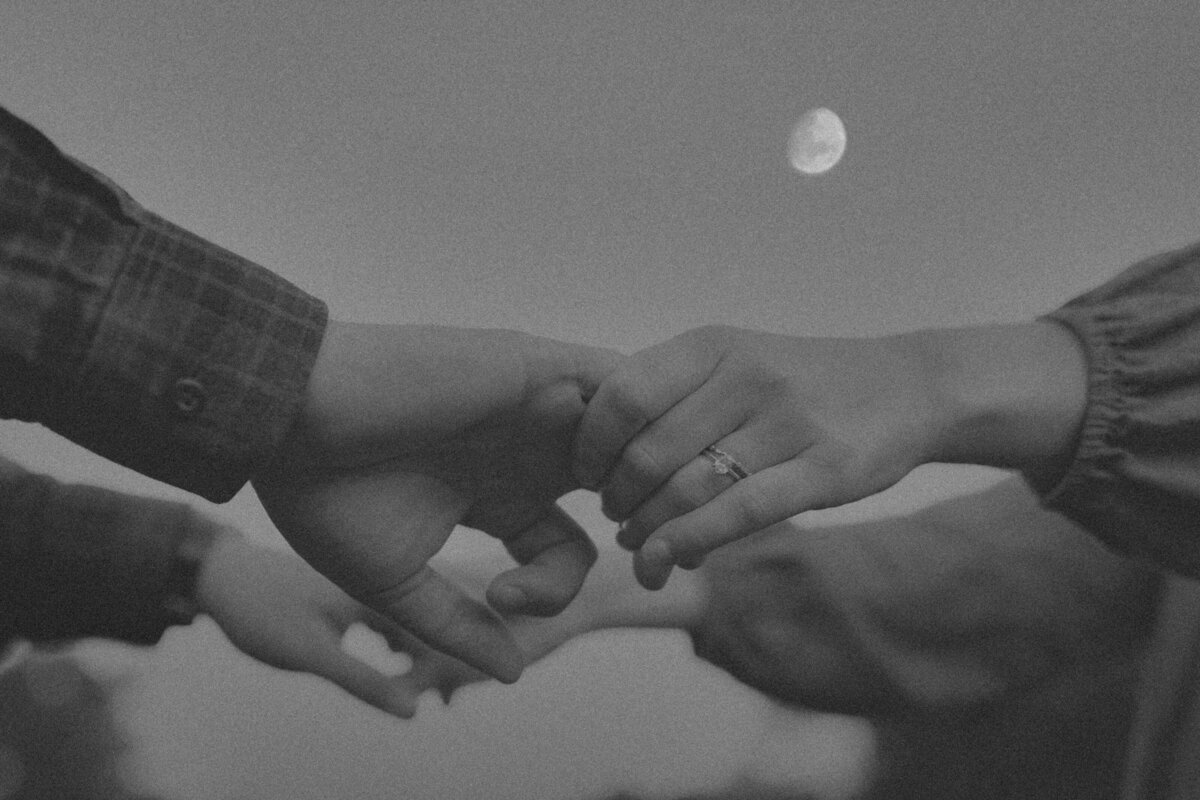 pexels-camille-robinson-3523856-10822212