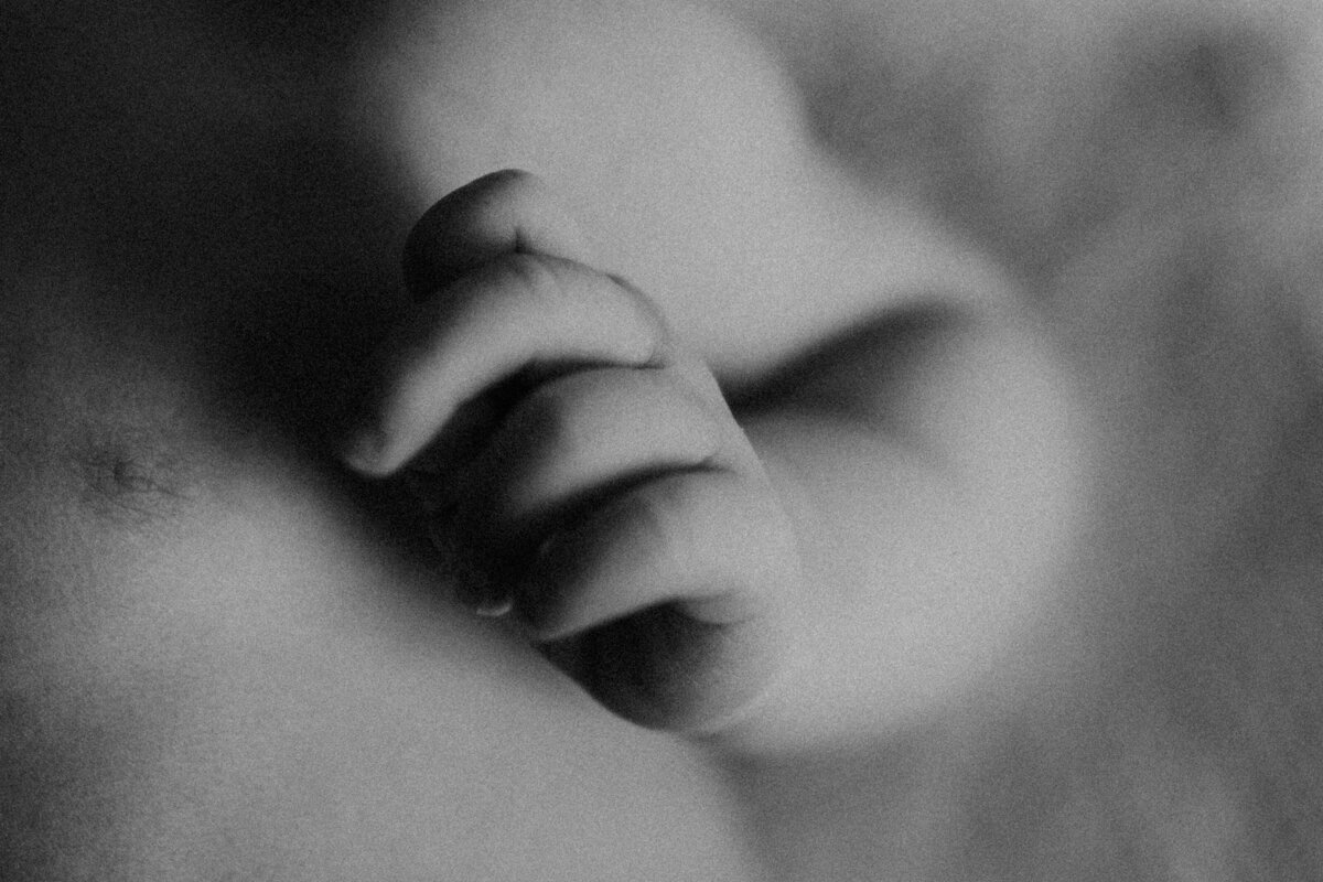 Lili Bs Photography-74