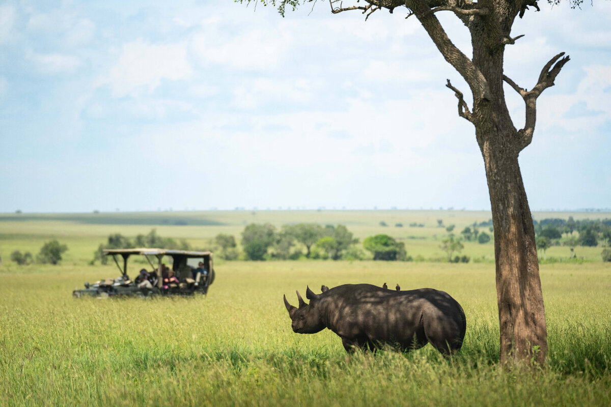 TAASA Lodge - Wildlife & Safari (11)