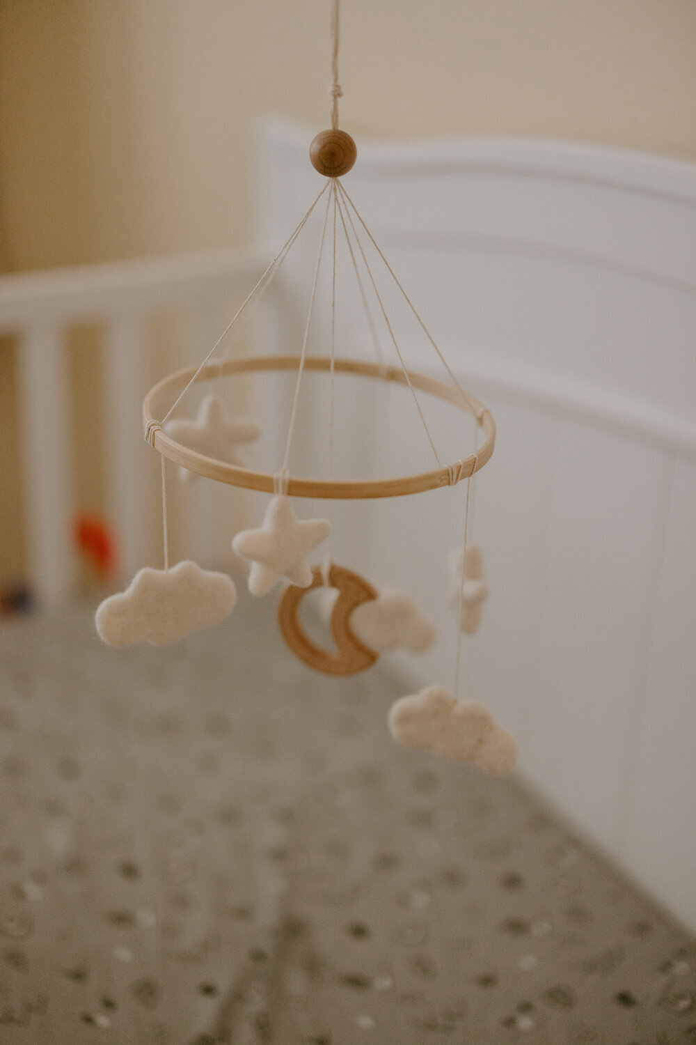 Newborn-Photo-Session-Columbia-South-Carolina-20