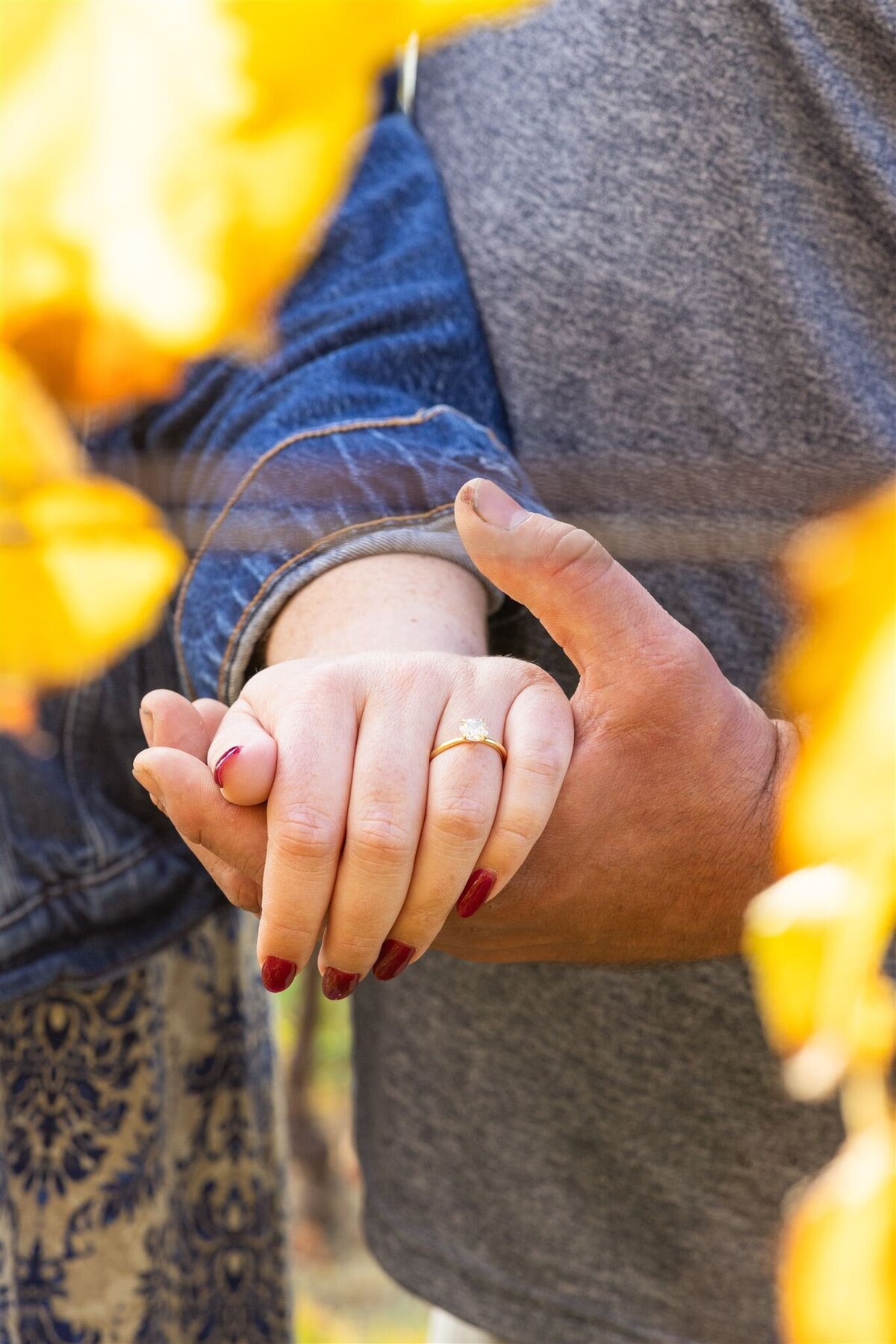 Abby and Jamie_Engagement -2024-11-0928_websize