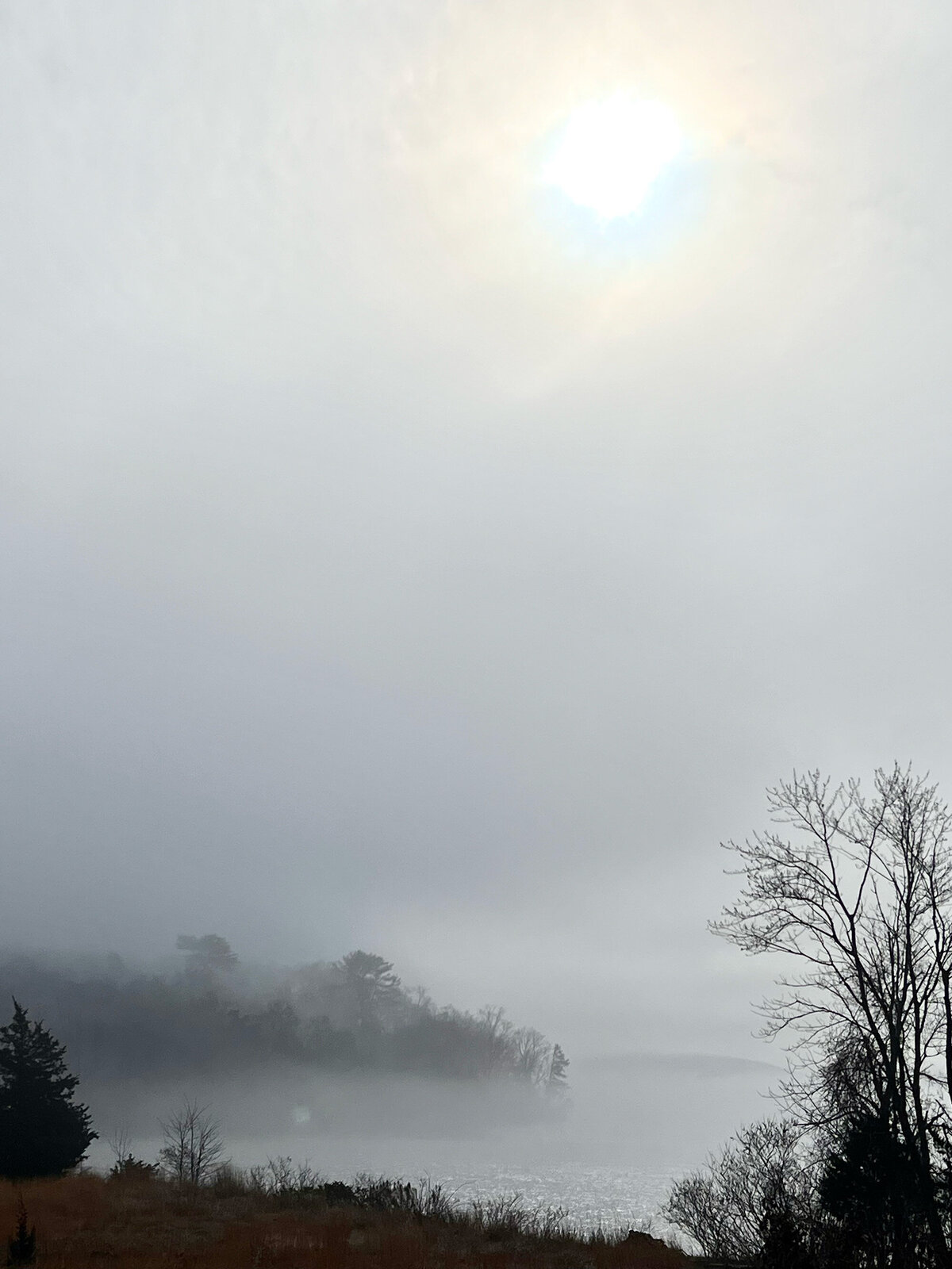 CCC_Estuary_18