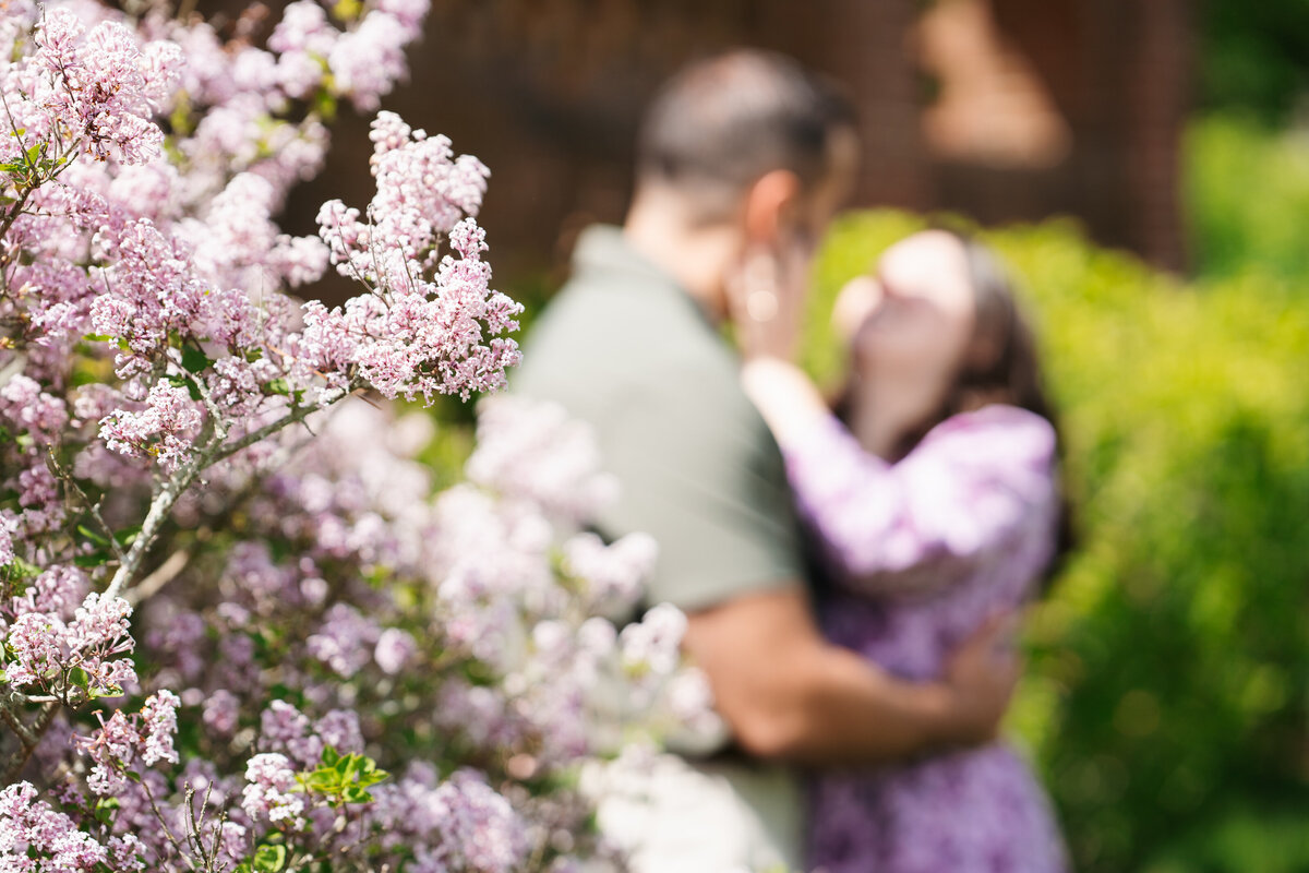 Couple walking through the rose garden at Lynch Park during their Beverly engagement session with Danielle Littles Photography