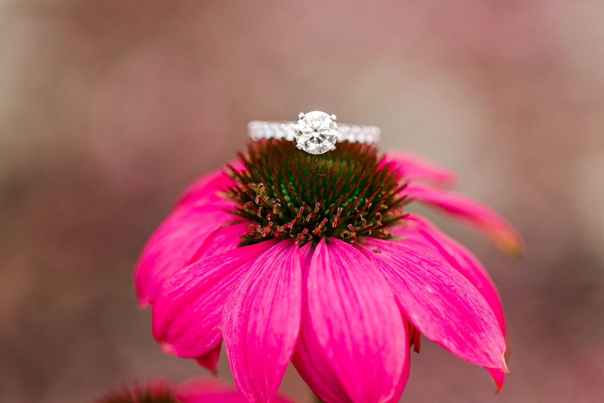 Jennifer B Photography-John and Olivia-Engagement-Weymouth Gardens, Southern Pines, NC-2020-0285