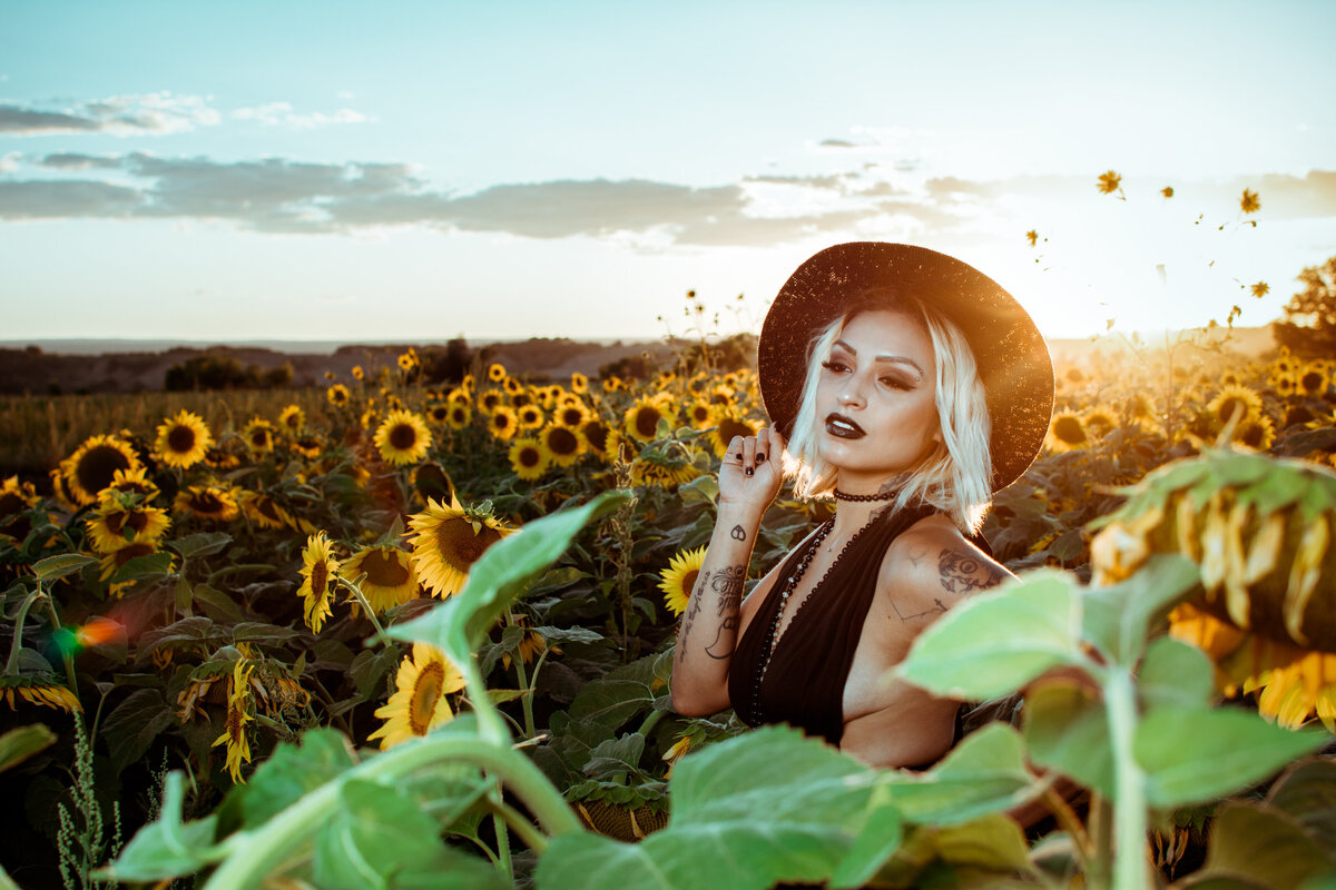 sunflower-8