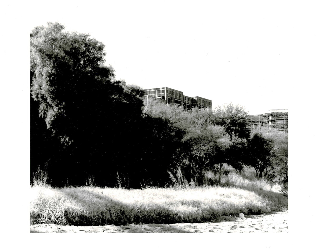 darkroomprintscan-10