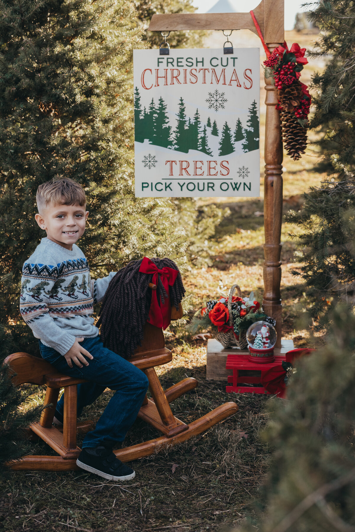 Love-To-Lens-Photography-Christmas-Tree-Farm-Minis-Hudson-Valley-NY (3)
