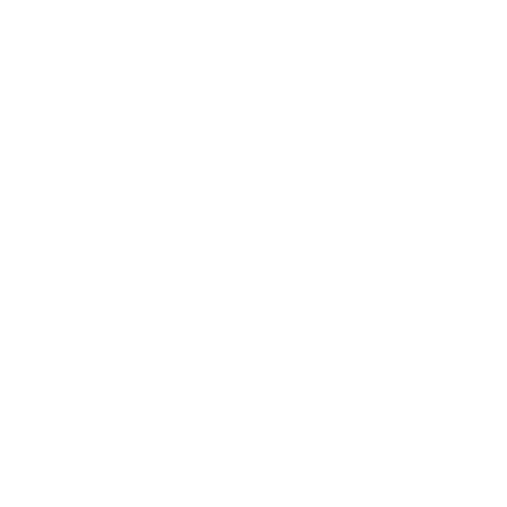 Best Western White Logo