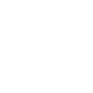 The New York Times White Logo