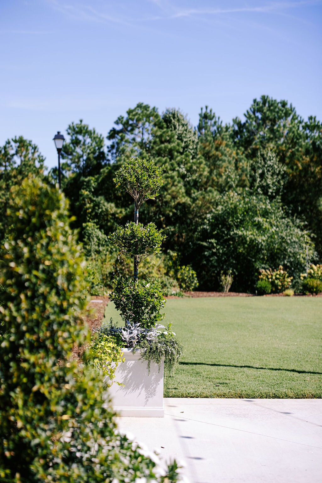 lawn and patio at The Maxwell