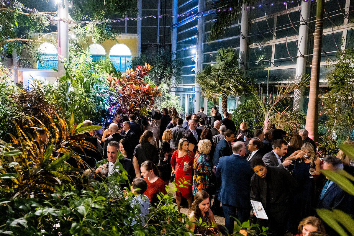 phipps conservatory cocktail hour in tropical rainforest