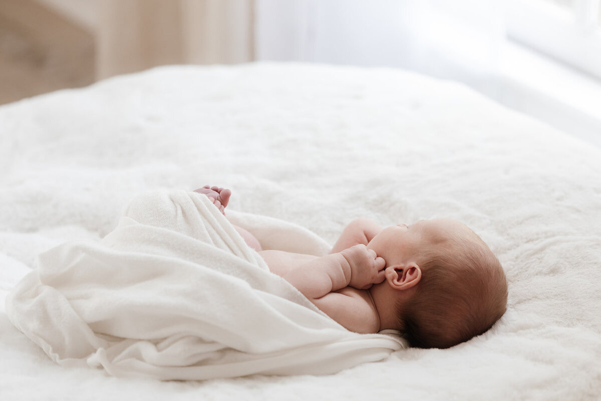 NewbornPortraits_JCranePhotography_RaleighPhotographer008