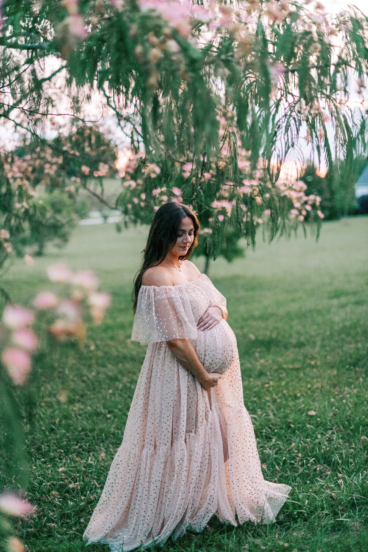 Greenville Maternity Photographer Lauren-25