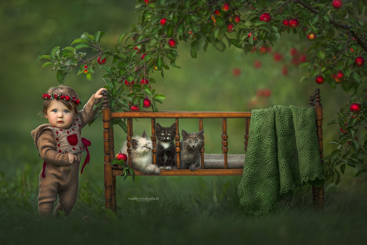 Toddler baby holding onto cradle full of kittens in an apple orchard.