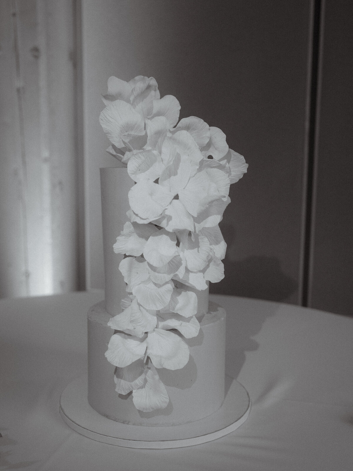 cayuga-new-york-wedding-photographer