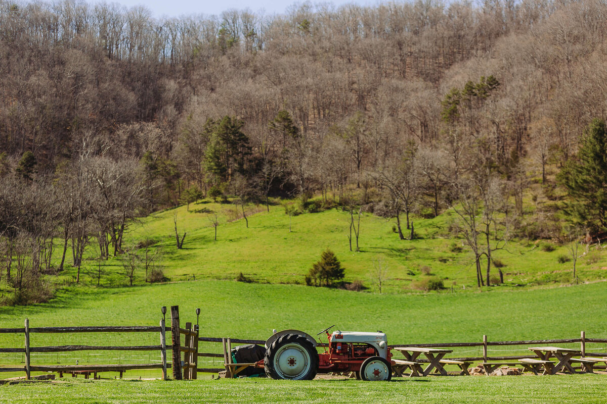 Claxton-Farm-NC-Elopement-17