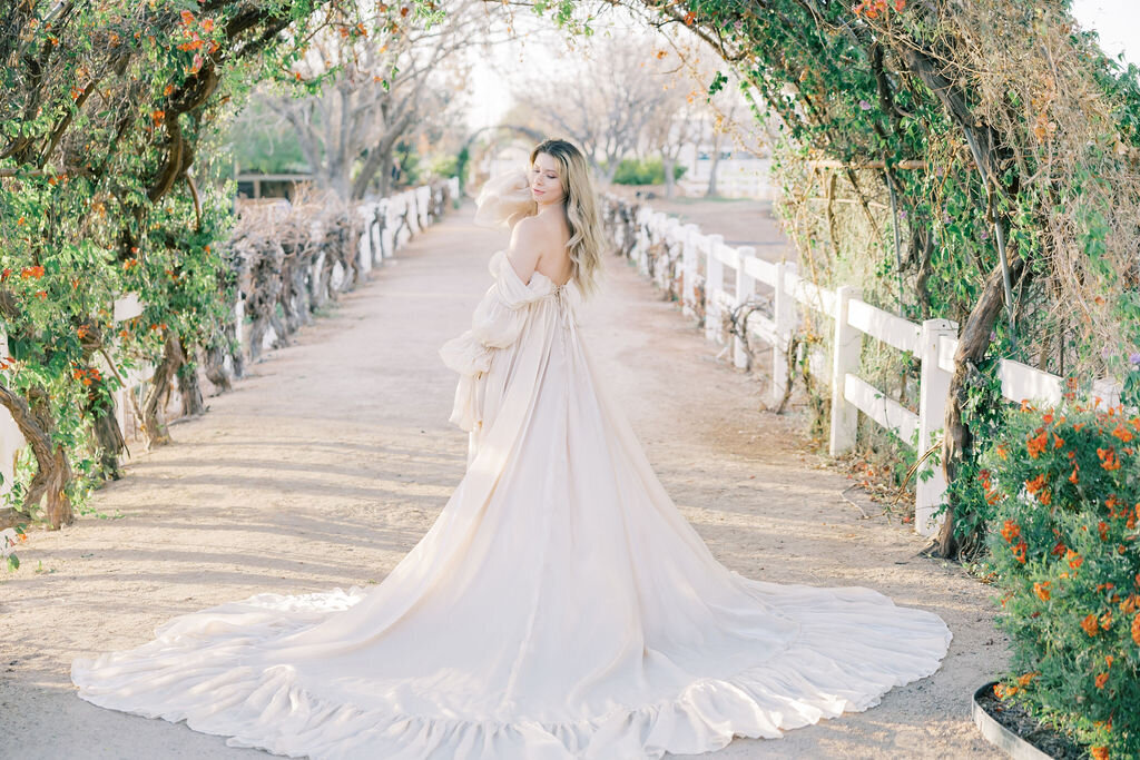 Phoenix-Maternity-Photographer-Adelheidv-Photography-13