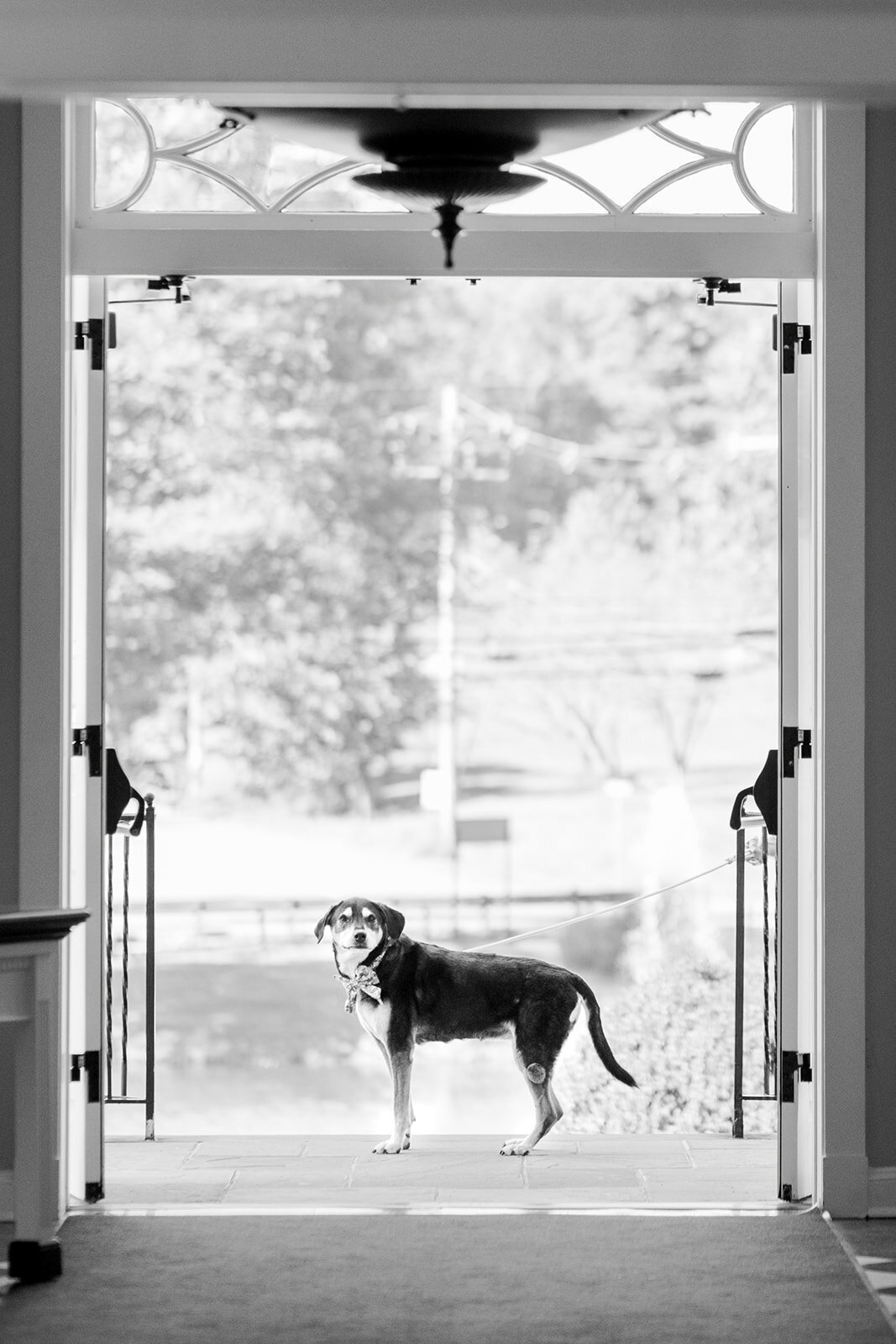 Lauren & Paul_s Sneak Peeks 27