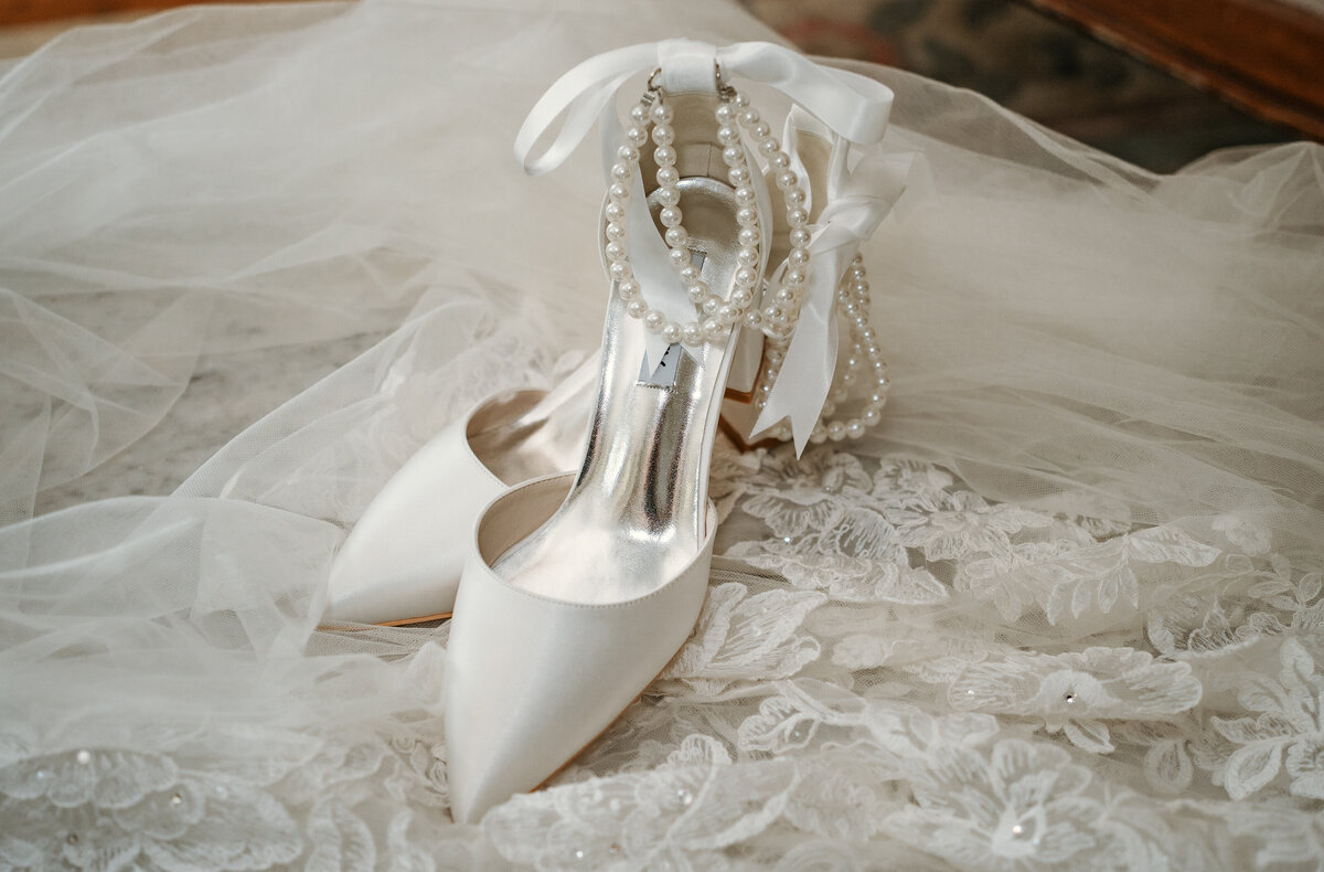 Buffalo NY and Rochester NY and WNY Wedding Photographer Finger Lakes region Wedding Photographer