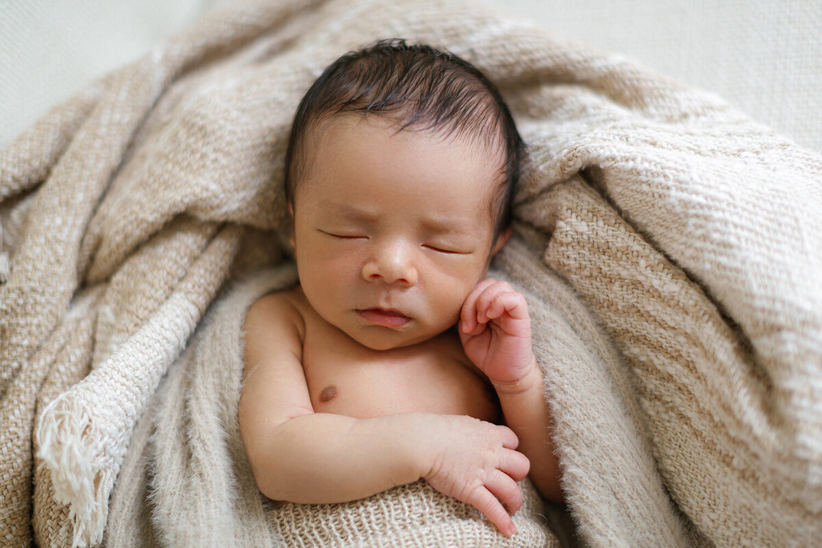 Newborn photography cronulla